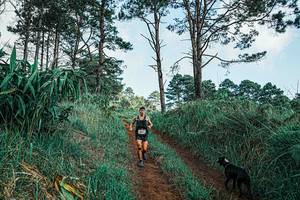 BIB: 
                            <button type="button" onclick="openModal(25653327)" class="btn btn-primary btn-sm float-right btn-popup" data-toggle="modal" data-target=".modal-high-quality">
                        <i class="fas fa-shopping-cart"></i> Add to Cart
                    </button>
                                            <button type="button" onclick="isThisMe(25653327, true)" class="btn btn-success btn-sm float-right btn-popup btn-isme hidden" data-toggle="tooltip" data-placement="bottom" title="นี่คือรูปของคุณใช่ไหม คลิกที่นี่เพื่อเอาเข้าอัลบั้ม">
                        <i class="fas fa-plus"></i> Add to album
                    </button>
                    <button type="button" onclick="isThisMe(25653327, false)" class="btn btn-warning btn-sm float-right btn-popup btn-isnotme hidden">
                        <i class="fas fa-ban"></i> Remove from album
                    </button>